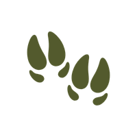 Beige stag icon representing Rusa deer trophy hunting in New Caledonia.

Icône beige en forme de cerf symbolisant la chasse au cerf Rusa en Nouvelle-Calédonie.