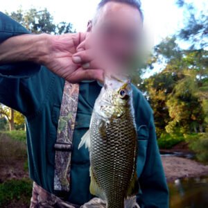 Angler holding a freshwater fish caught in a river in New Caledonia